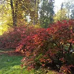 Spa Park Guest *