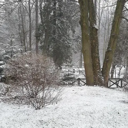 Park Guest Apartament *