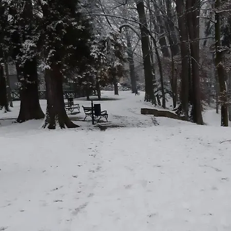 Park Guest Apartament *