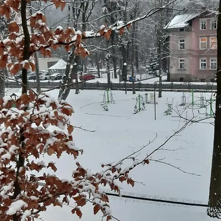 Apartament Park Guest