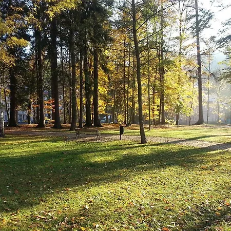 Park Guest Długopole-Zdrój