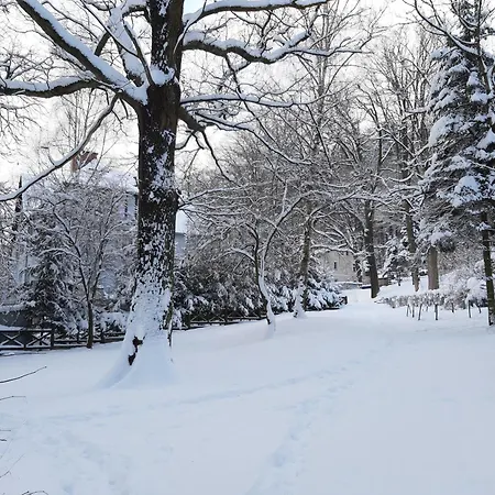 Apartament Park Guest
