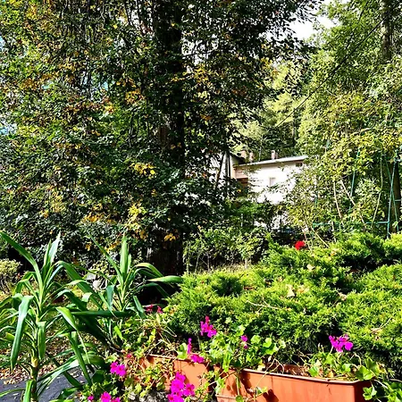 Apartament Park Guest