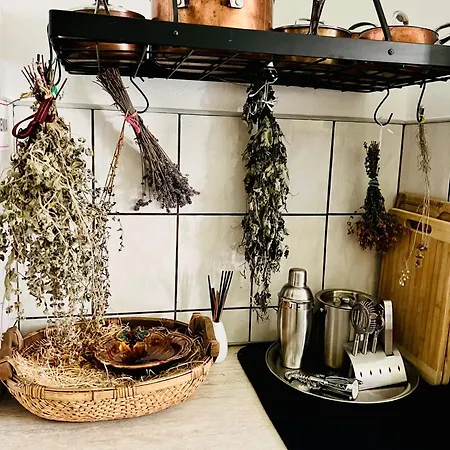 Apartament Park Guest