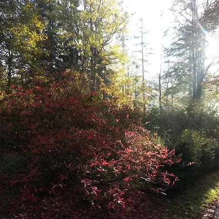 Park Guest Długopole-Zdrój
