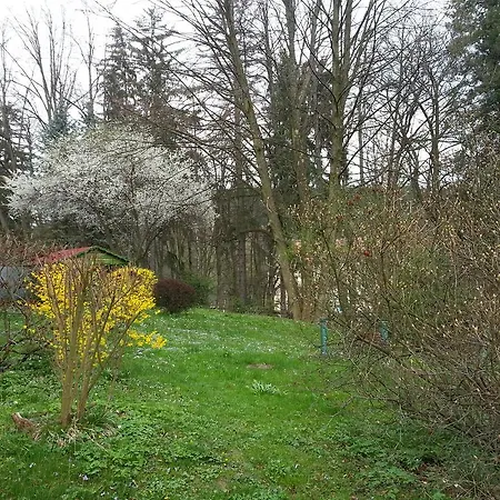 Apartament Park Guest