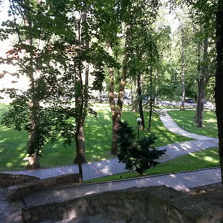 Park Guest *