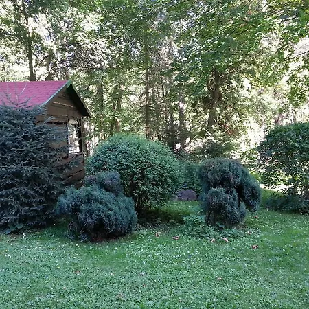 Apartament Park Guest