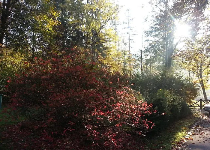 Park Guest Długopole-Zdrój